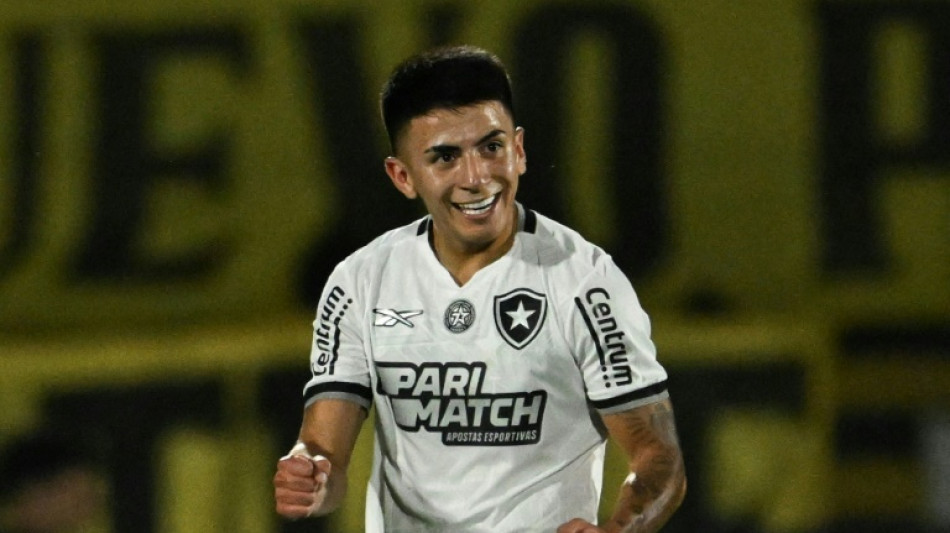 Botafogo e Atl&eacute;tico-MG na final da Libertadores: vit&oacute;ria das SAFs?