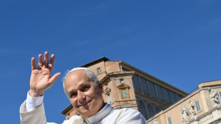 Papa Le&atilde;o XIV une for&ccedil;as a Schwarzenegger para enfrentar a mudan&ccedil;a clim&aacute;tica