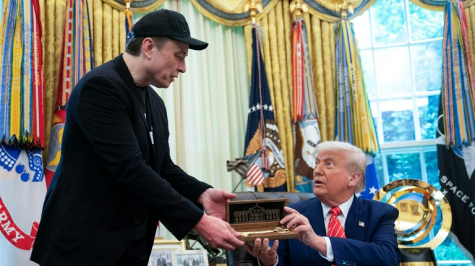 Elon Musk verkündet Gründung von eigener Partei