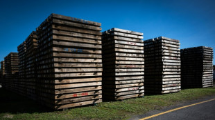 Dans le Lot, les traverses de chemin de fer deviennent moins polluantes