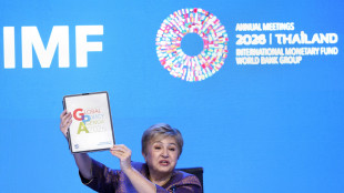 Fmi, economia Asia in frenata, rischi da guerra Iran e crisi rendimenti