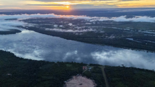 La deforestaci&oacute;n en la Amazon&iacute;a brasile&ntilde;a registr&oacute; su nivel m&aacute;s bajo en casi 40 a&ntilde;os
