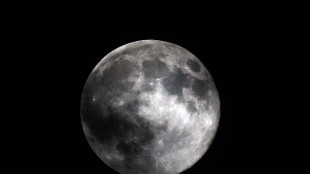 Luna, l'arrivo degli astronauti rischia di slittare al 2028