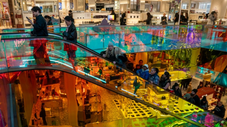 R&eacute;cord de 10.800 millones de d&oacute;lares gastados en l&iacute;nea en EEUU durante el "Black Friday"