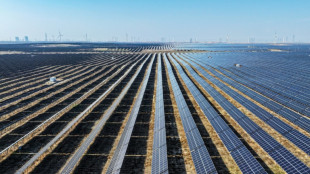 Biggest emitter, record renewables: China's climate scorecard