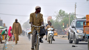Niger: haro sur les bandits &agrave; la fronti&egrave;re avec le Nigeria