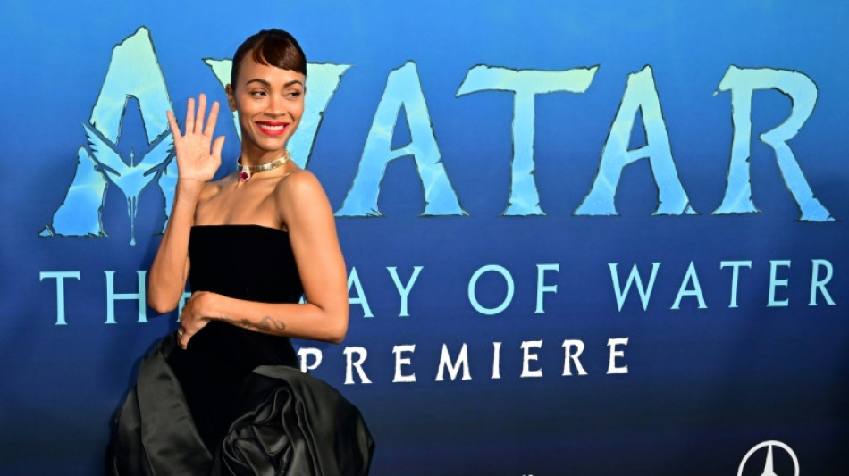 "Avatar 2" d&eacute;passe les 10 millions d'entr&eacute;es en France