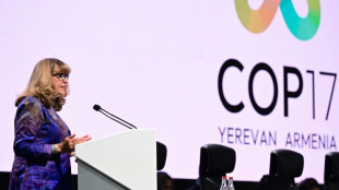 La COP17 sobre biodiversidad encara su recta final sin visos de consenso