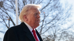 Trump, troveremo una soluzione sulla Groenlandia