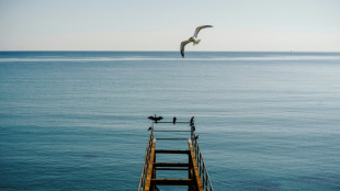 Dos nav&iacute;os golpeados por drones en el mar Negro, frente a la costa de Bulgaria