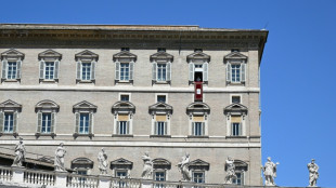 El papa dice que la energ&iacute;a at&oacute;mica s&oacute;lo debe usarse para la paz