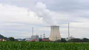 "Die Zeit dr&auml;ngt" - Habeck ermahnt FDP zum Einlenken im Streit um Atomkraft