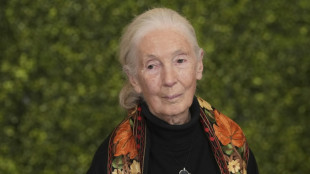 Zoologenverband trauert um Primatenforscherin Jane Goodall