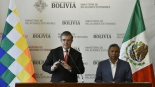 M&eacute;xico busca aprovechar experiencia de Bolivia para industrializar el litio