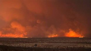Le gigantesque feu en Namibie est "contenu" d'après le gouvernement