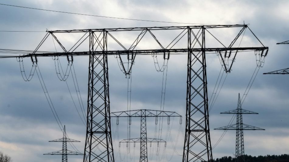Zur St&auml;rkung der Wirtschaft: &Ouml;konom bringt Strompreisbremse bis 2030 ins Spiel
