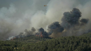 Aude: un blessé grave dans un violent incendie, 4.000 hectares parcourus