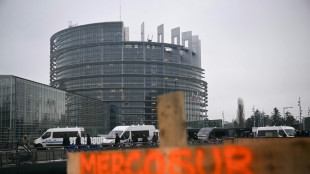 Premier vote sur le Mercosur au Parlement europ&eacute;en, travers&eacute; par des lignes de fractures nationales