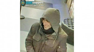 Man questioned in case of murdered health exec: US media