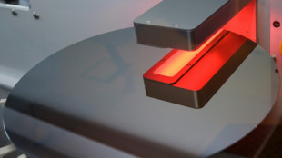 Lieferstopp von Nexperia-Chips: Autohersteller f&uuml;rchten Produktionseinschr&auml;nkungen