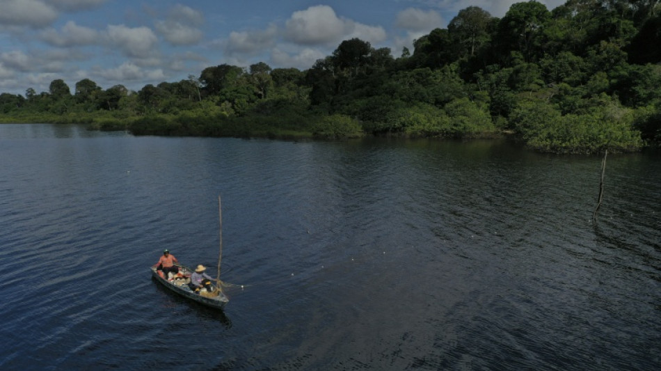 Sequ&iacute;a extrema y aguas con temperatura de jacuzzi diezmaron delfines en Brasil en 2023 (estudio)