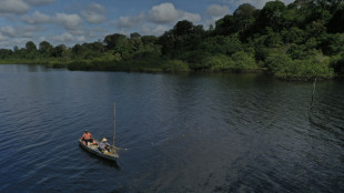 Sequ&iacute;a extrema y aguas con temperatura de jacuzzi diezmaron delfines en Brasil en 2023 (estudio)