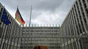 Bundestag setzt Kontrollgremium ein: Reichinnek und AfD-Kandidaten nicht gewählt