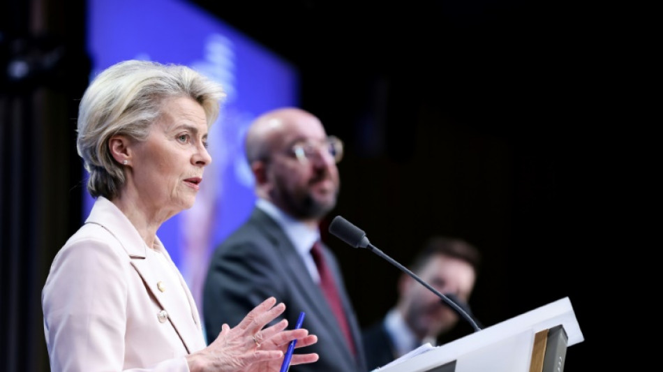 La pression monte pour un financement par l'UE de cl&ocirc;tures anti-migrants