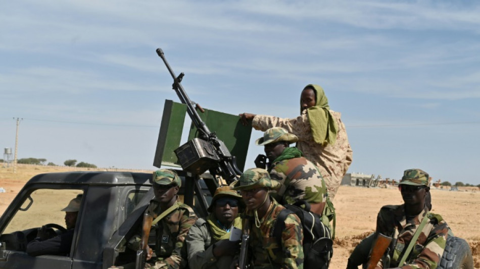 El ej&eacute;rcito de N&iacute;ger mata a 30 "terroristas" nigerianos de Boko Haram
