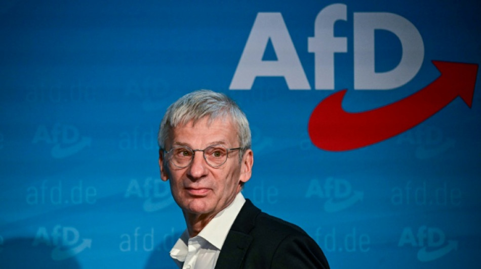 AfD erreicht laut Umfrage Höchststand in Brandenburg