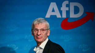 AfD erreicht laut Umfrage Höchststand in Brandenburg