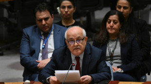 Conselho de Seguran&ccedil;a vai se pronunciar no fim do m&ecirc;s sobre ades&atilde;o da Palestina