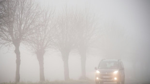 Überfrierende Nässe und Schneeschauer: ADAC empfiehlt umsichtiges Fahren