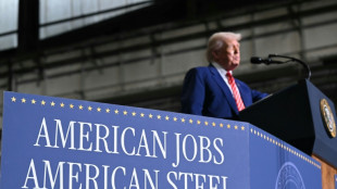 Trump diz que duplicará tarifas a aço e alumínio para 50%