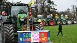 Nach Mercosur-Abstimmung: Gr&uuml;ne bieten Votum f&uuml;r schnelle Ratifizierung an