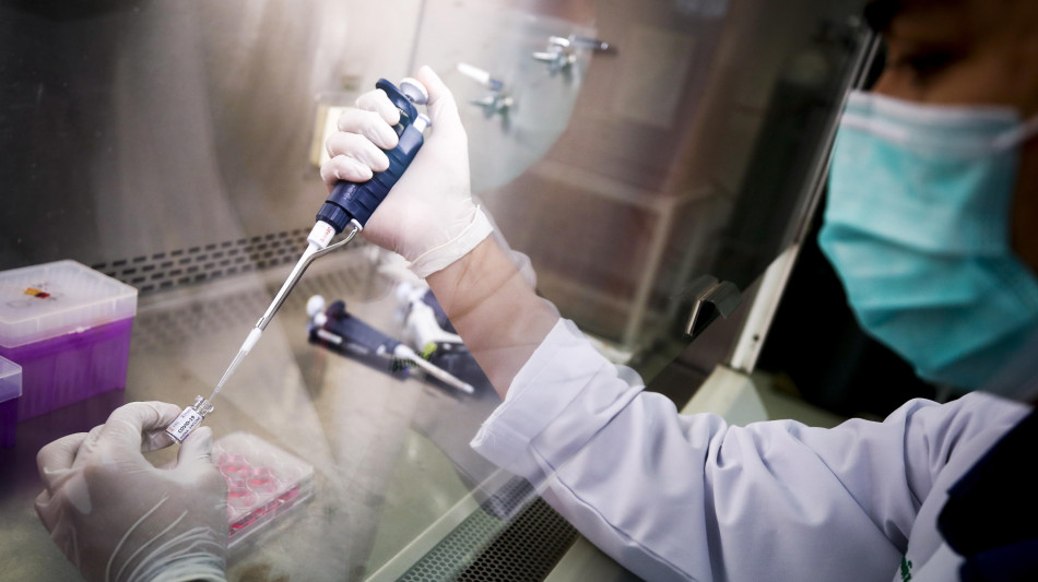 Da nervi riprogrammati, il primo impianto vivente per contro la paralisi