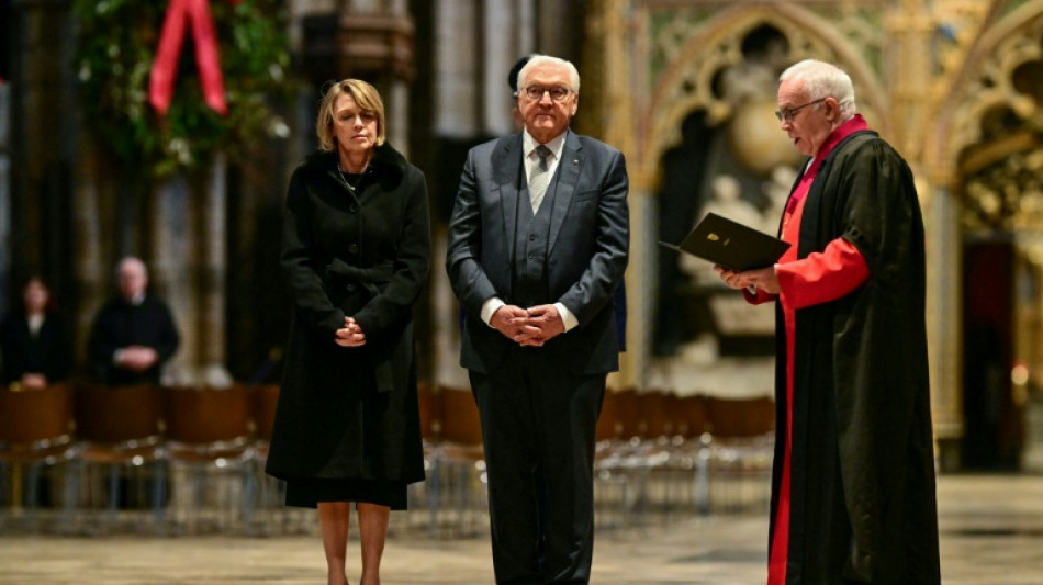 Steinmeier ruft vor britischem Parlament zur Verteidigung von Freiheit und Demokratie auf