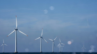 Danish wind giant Orsted to cut workforce by a quarter