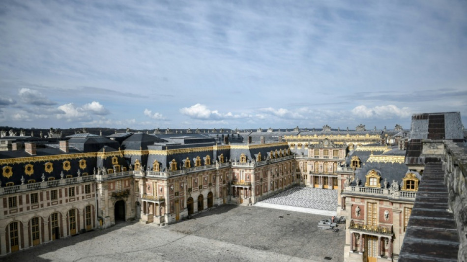 Una muestra en Par&iacute;s explora la vida del "Gran Delf&iacute;n", padre sin corona del rey Felipe V de Espa&ntilde;a