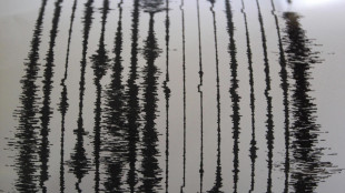 Ai Campi Flegrei la sismicit&agrave; si sta concentrando in un'area