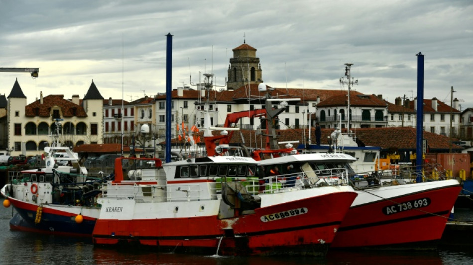 Pêche française: une étude analyse les émissions de carbone et dénonce un "écart abyssal" entre les bateaux
