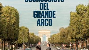 Uno 'sconosciuto architetto' tra Avatar e Checco Zalone