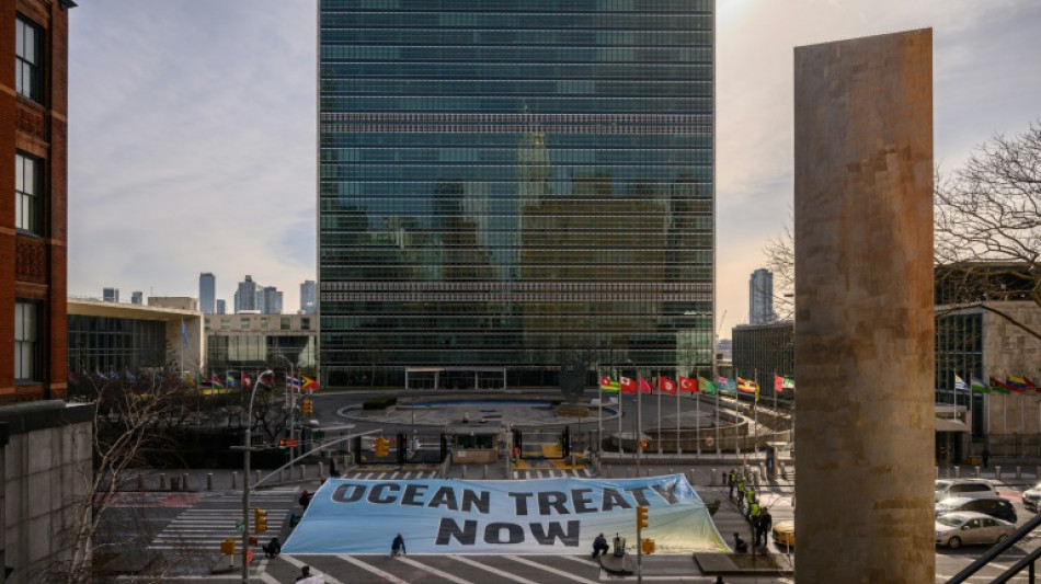 Treaty ahoy! UN states agree 'historic' deal to protect high seas