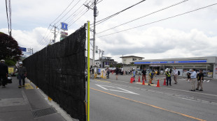 Giappone: troppi turisti, citt&agrave; copre panorama Monte Fuji