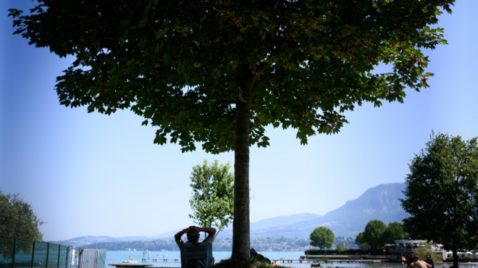 Ola de calor enciende las alarmas en el sur por Francia