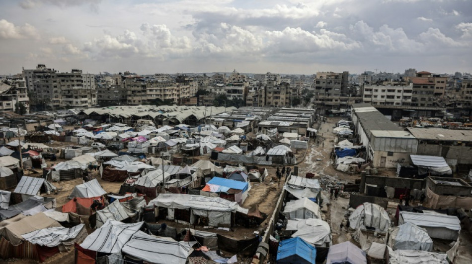 Positives Echo auf grünes Licht für Trumps Gaza-Friedensplan im UN-Sicherheitsrat