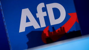 Magazin "Cicero": Gesamtes Verfassungsschutz-Gutachten zur AfD veröffentlicht