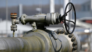 Studie: Entscheidend f&uuml;r Normalisierung des Gaspreises ist R&uuml;ckgang der Nachfrage