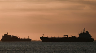 P&eacute;trole: les routes alternatives au d&eacute;troit d'Ormuz insuffisantes pour r&eacute;pondre &agrave; la demande