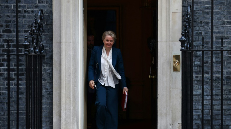 London will verstärkt Straftäter abschieben und weniger Arbeitsvisa vergeben